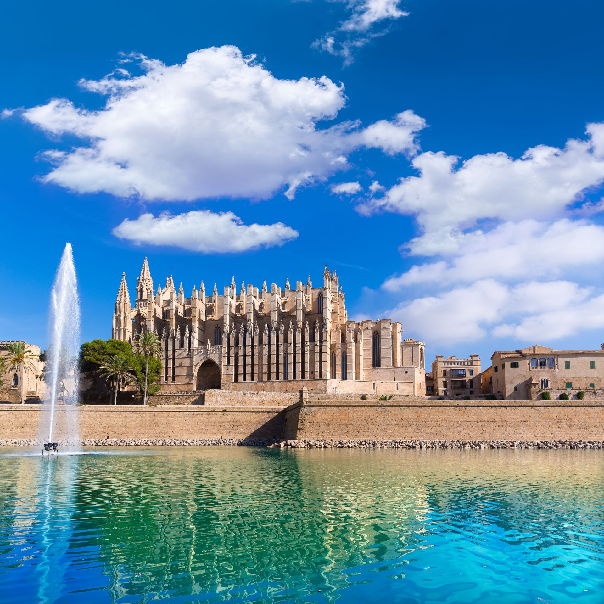 Majorca Palma Cathedral Seu SEO Mallorca