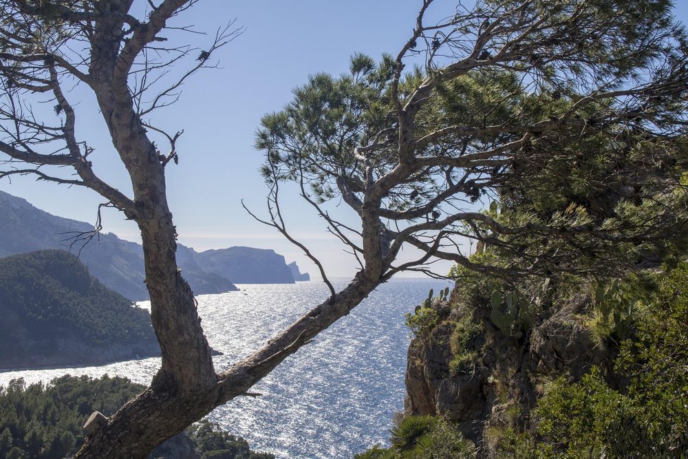 Mallorca 3256225 1920