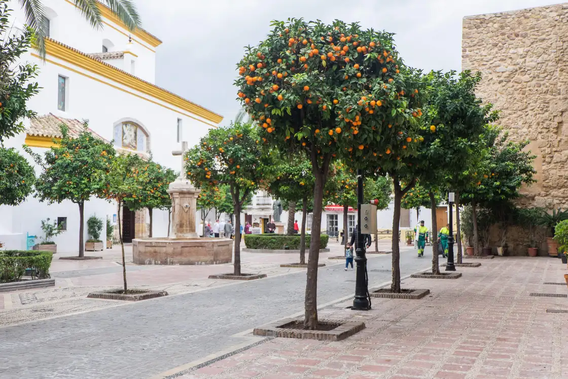 Marbella Casco 9