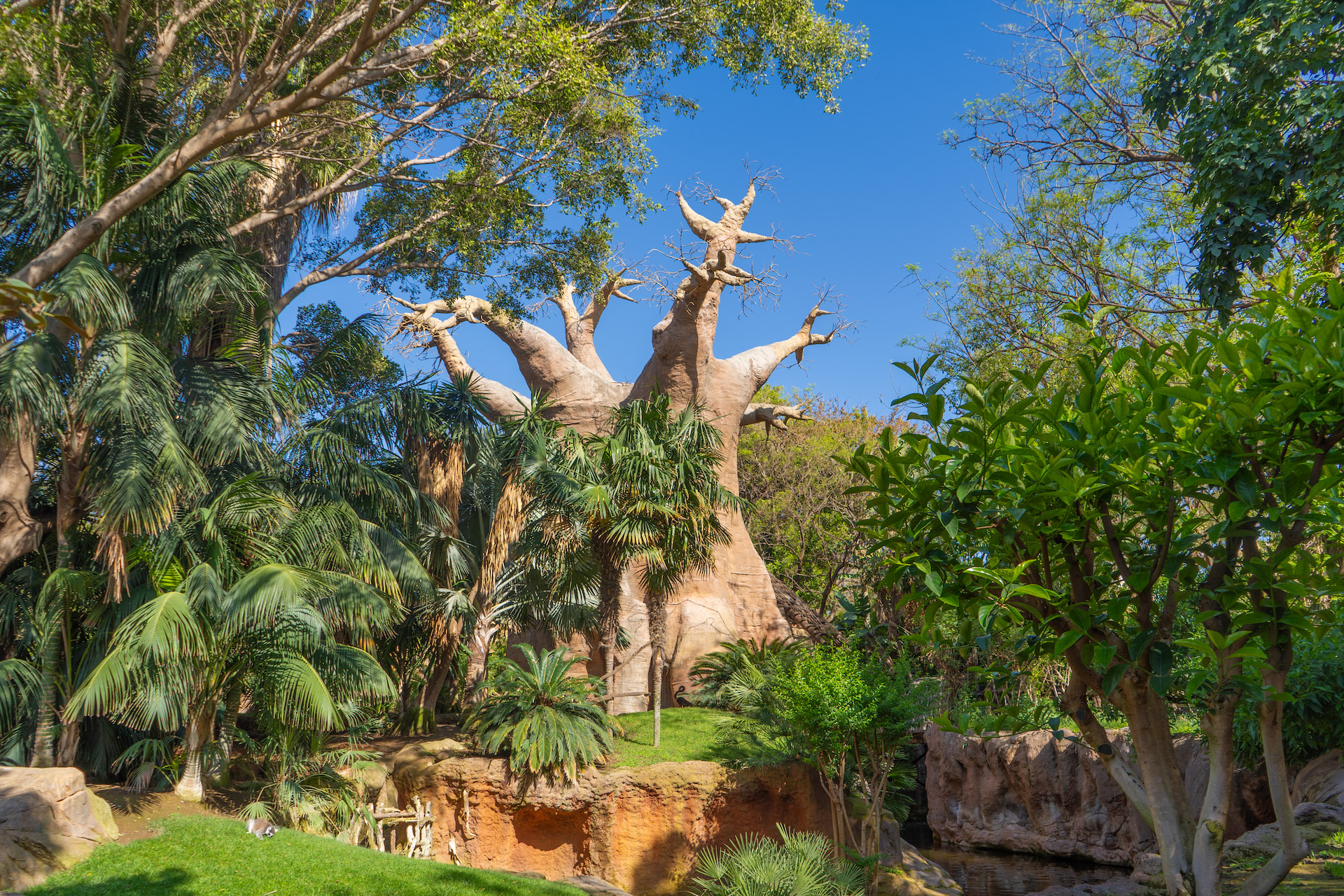 Horarios Bioparc Fuengirola