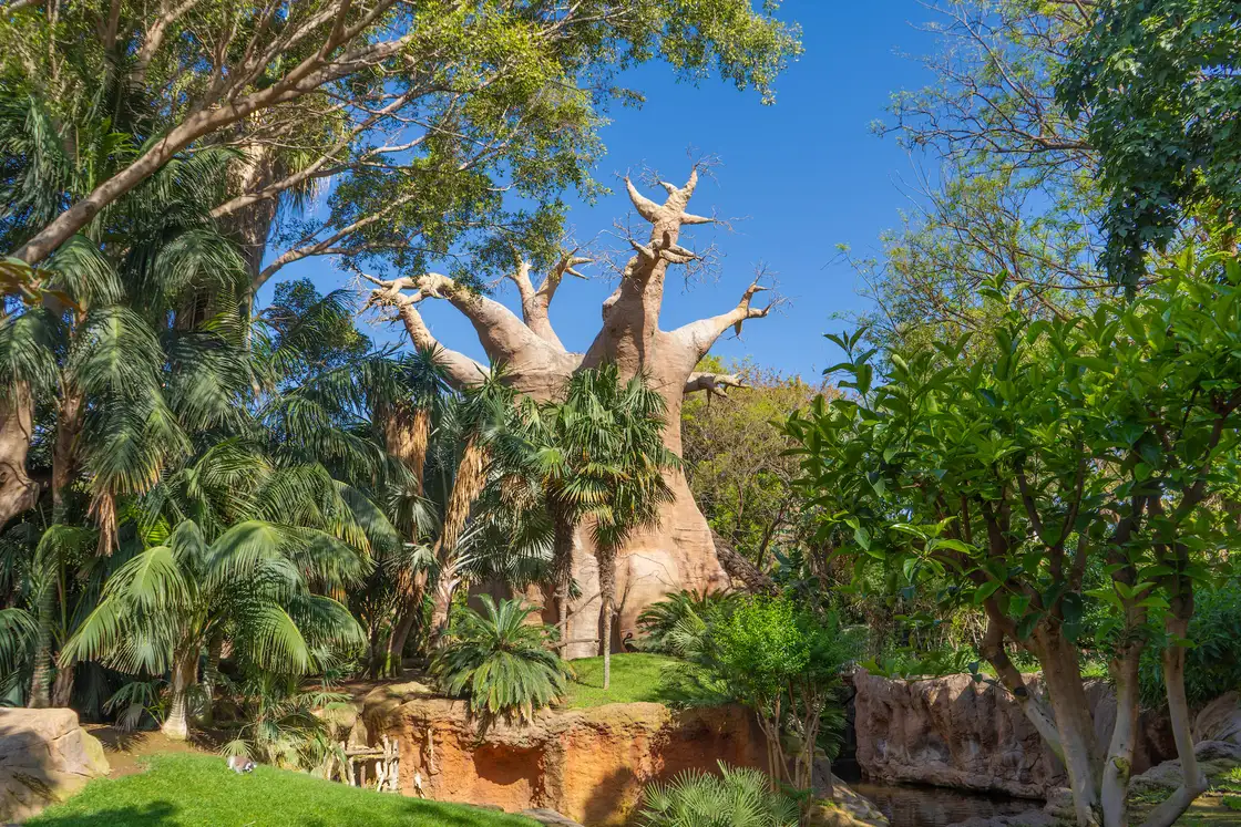 Horarios Bioparc Fuengirola