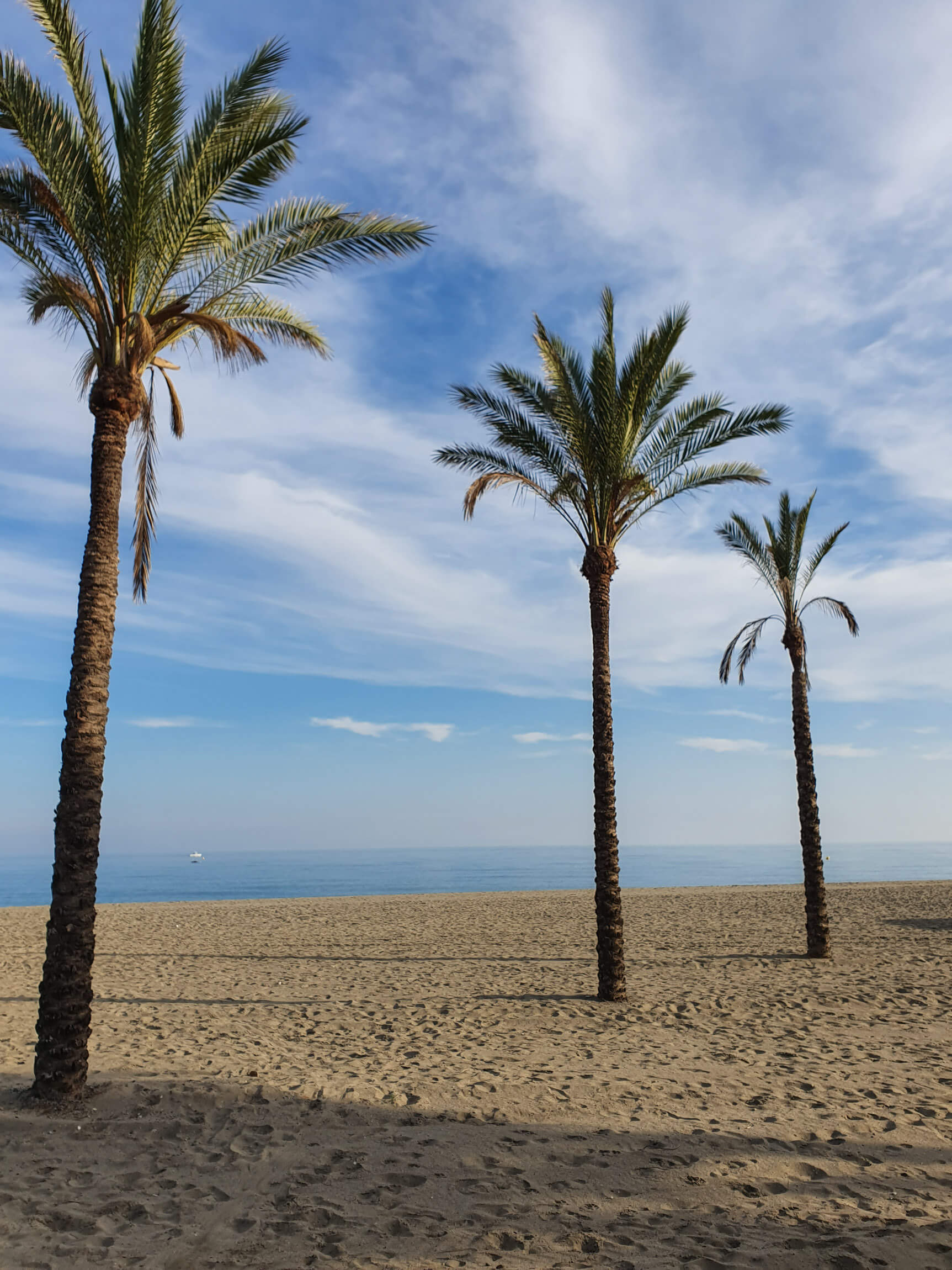 Lok Marbella4 1