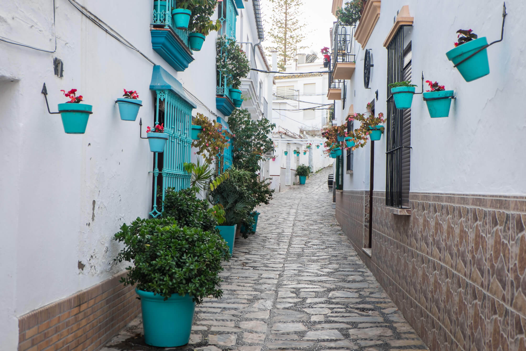 Estepona Miasto 47