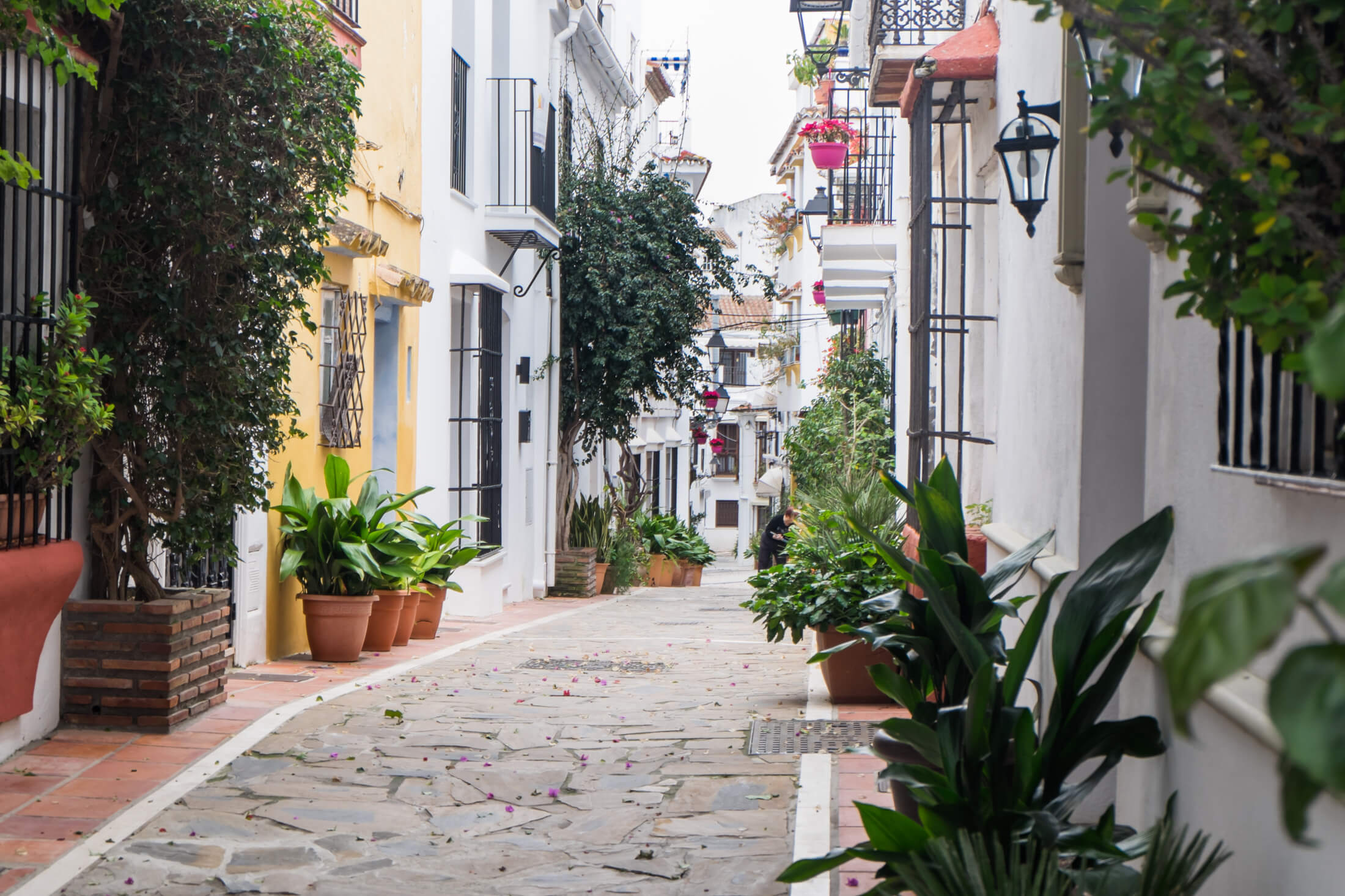 Marbella Casco 19