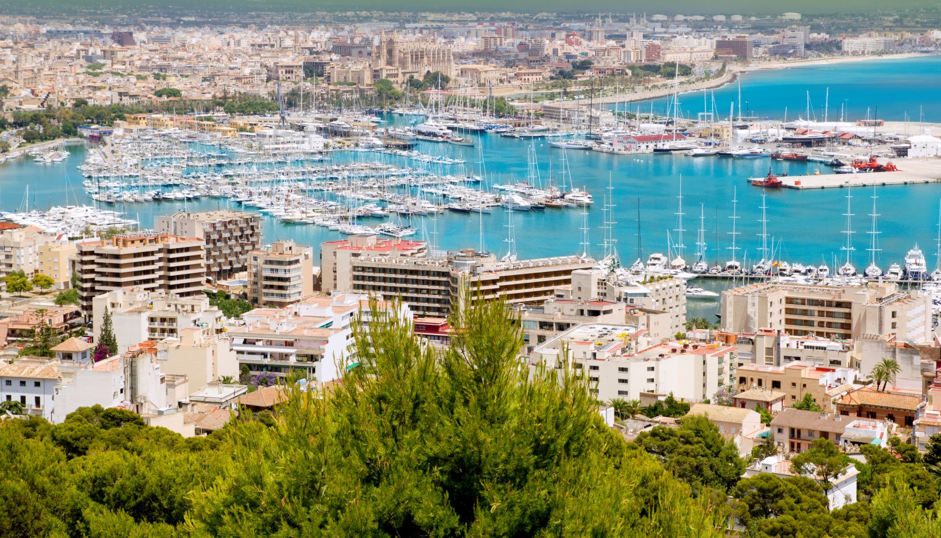 Stare Miasto w Palma de Mallorca
