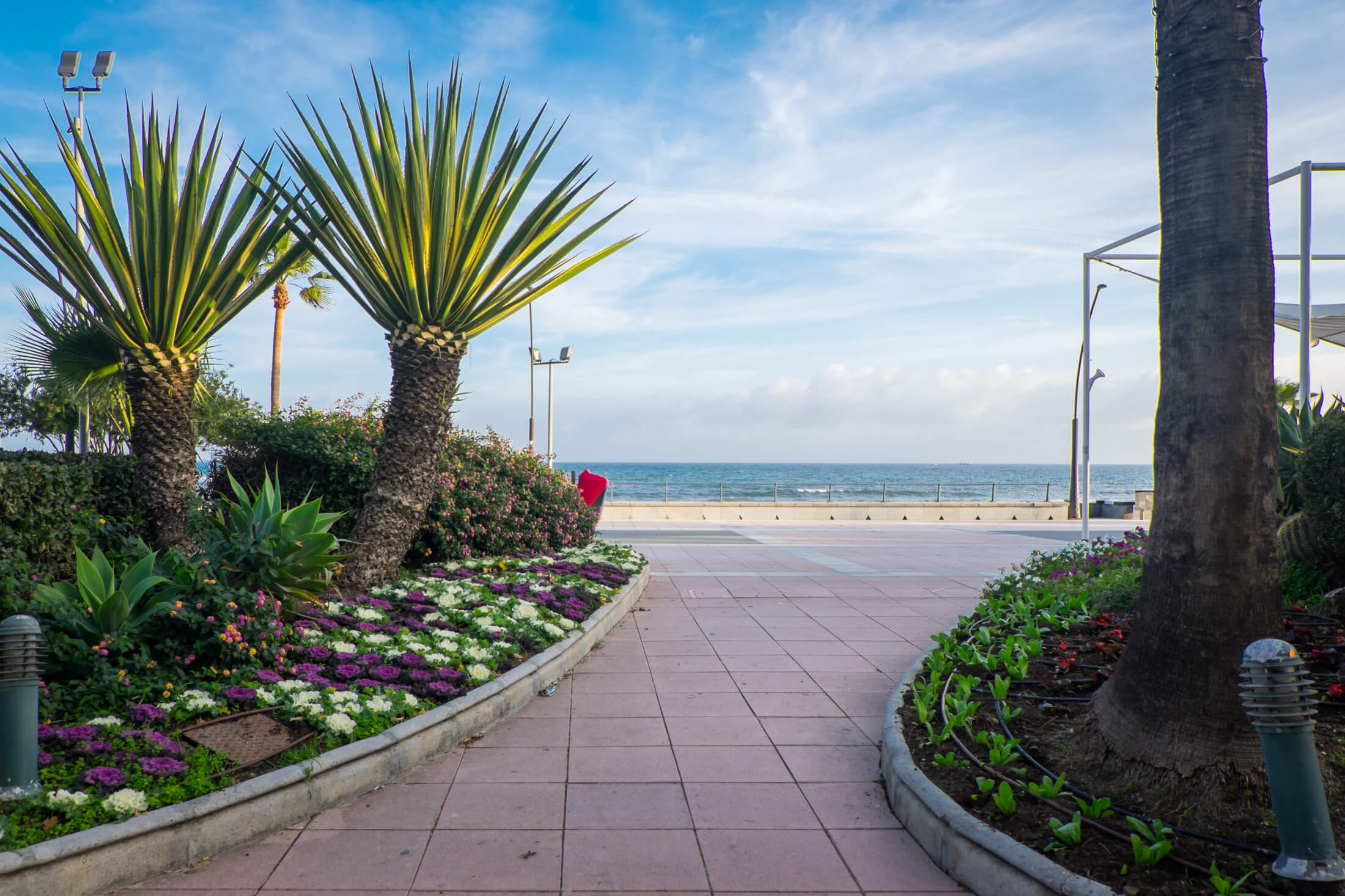 Estepona Miasto 39
