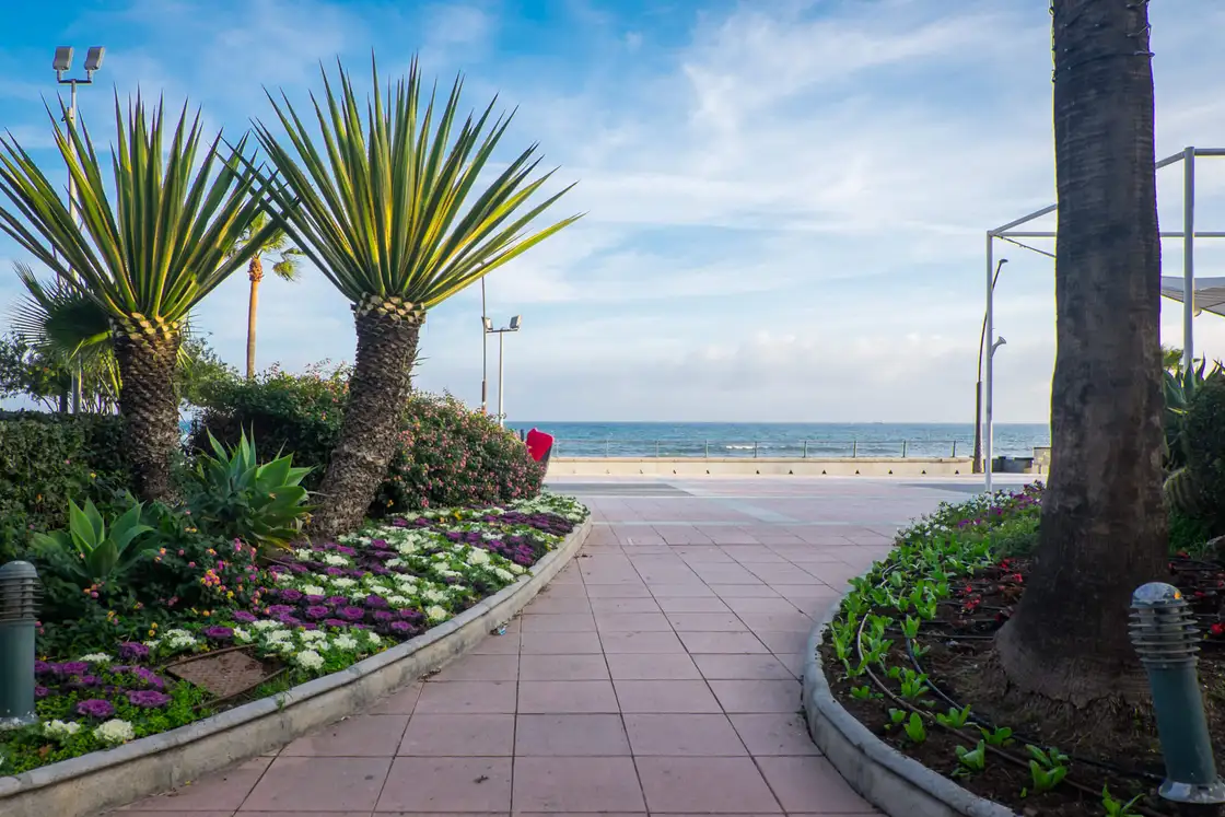 Estepona Miasto 39