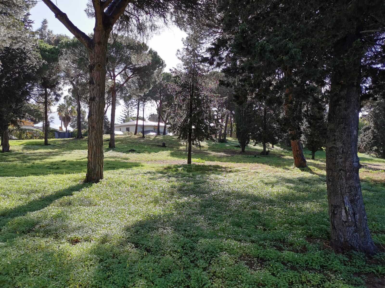 Jerez Blog 20