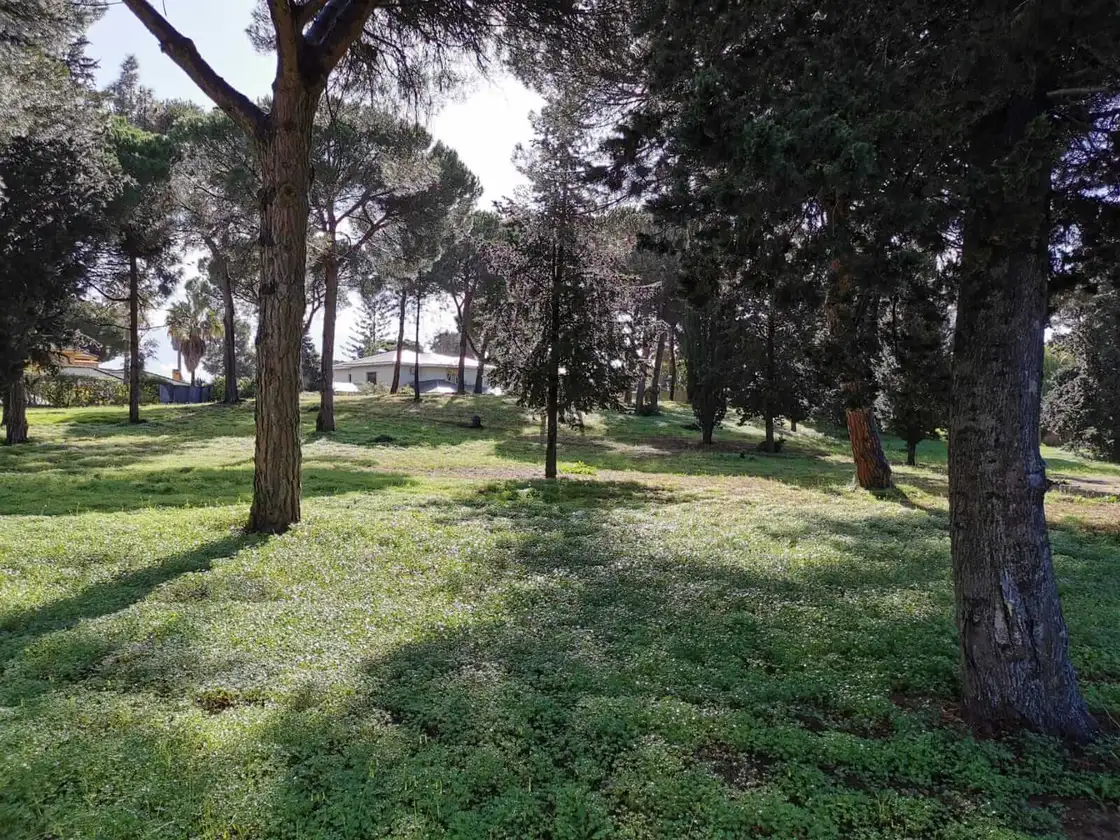 Jerez Blog 20