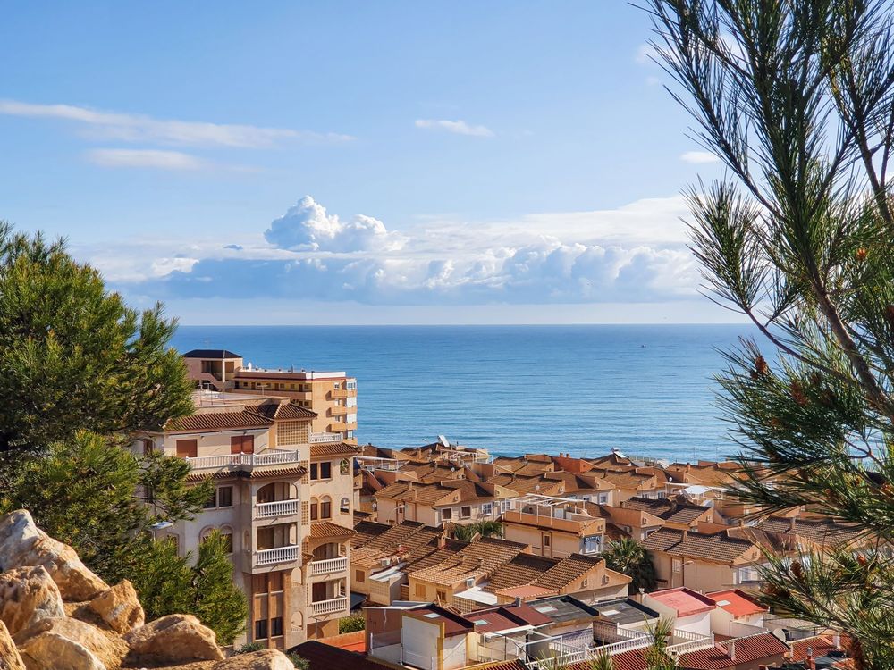 Vega Baja Del Segura Torrevieja Calas En Urbanizacion Cabo Cervera Y Su Entorno
