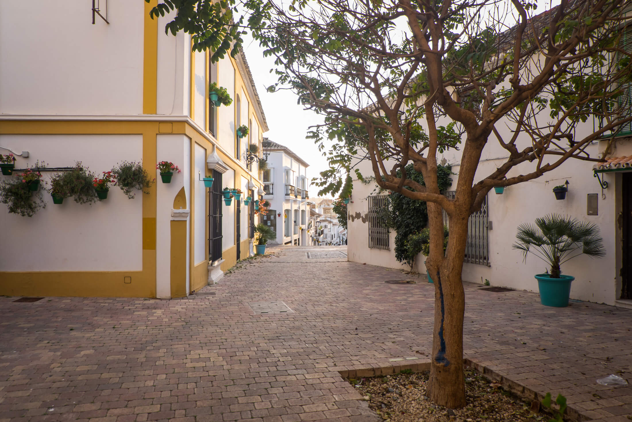 Estepona Miasto 60