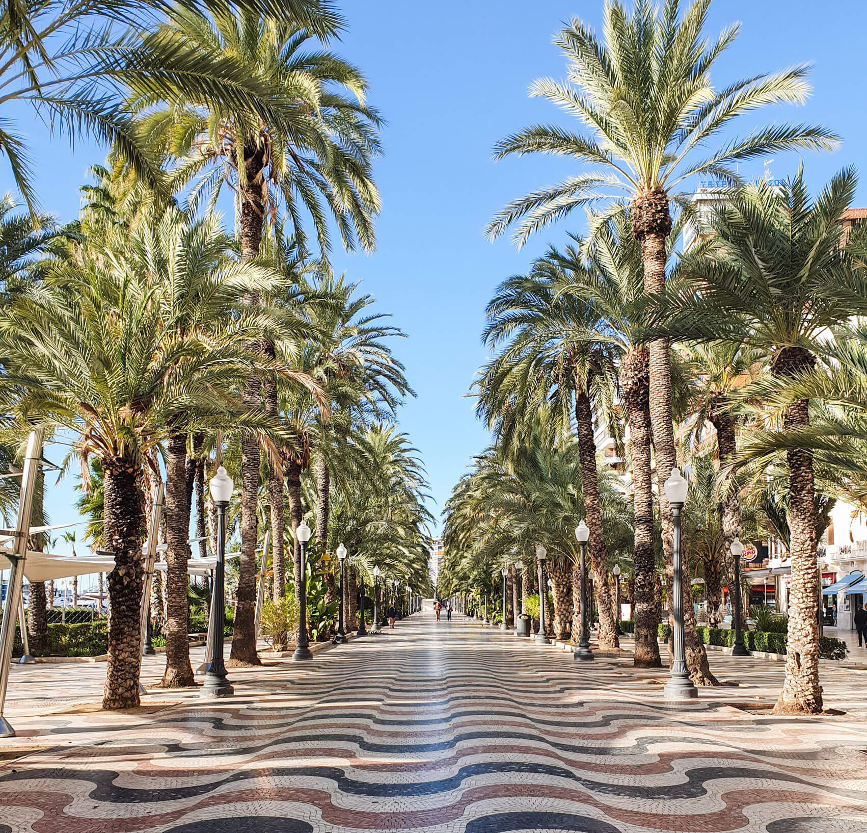 Alicante Blog4