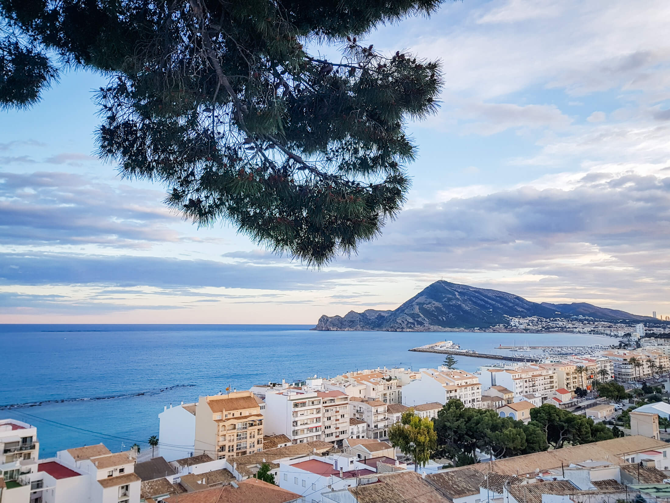 Altea Ania 31