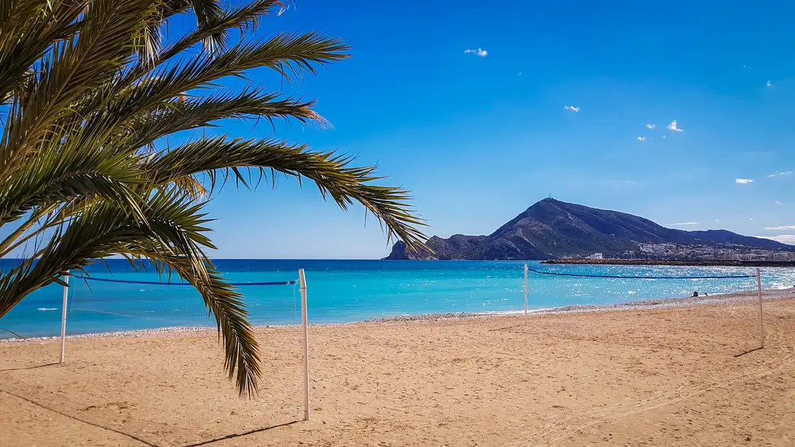 Altea Ania 17